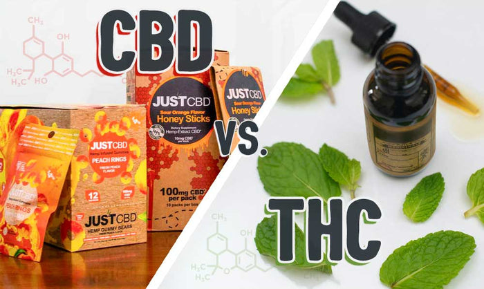 THC vs. CBD: Was ist der Unterschied?
