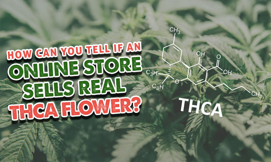 Publicación invitada del Dr. Ganja: ¿Cómo saber si una tienda en línea vende flores de THCA reales?